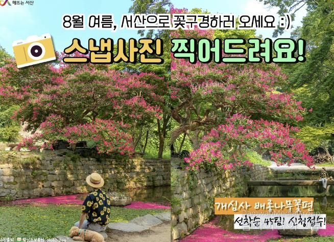 사진작가와 함께하는 관광 스냅사진 찰칵 이벤트 홍보물