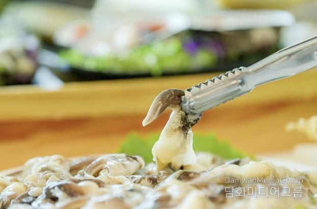 2025 설날연휴, 서해선 복선전철 타고 떠나는 ‘홍성군’ 관광