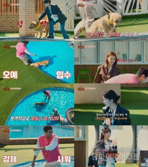 (사진 제공 = JTBC ‘집 나가면 개호강’)