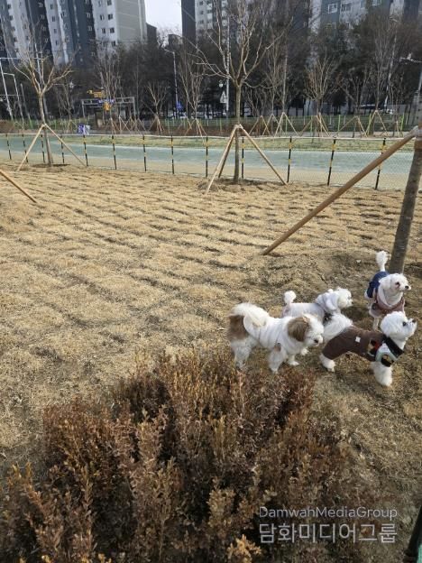 동두천시, 생연 문화공원 반려견 놀이터 정식 운영