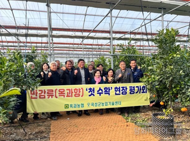 곡성군, 만감류(옥과향)‘첫 수확’ 현장 평가회