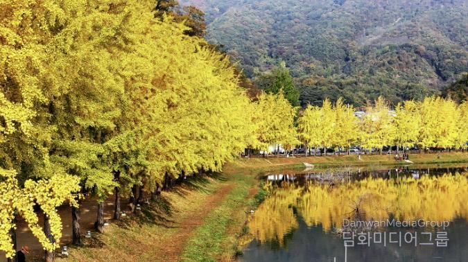 문광면 양곡저수지