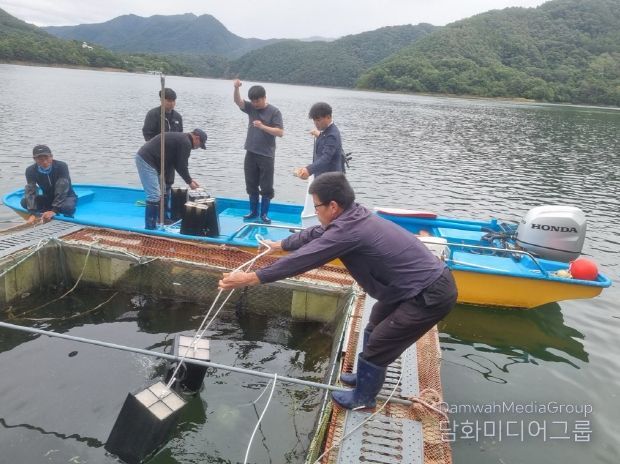 충북내수면산업연구소, 은어 수정란 500만 개 이식
