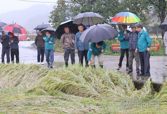 벼 피해 영농현장 방문