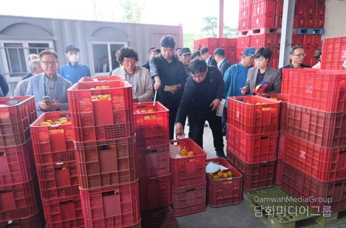 영동군, 공정한 감 거래로 감고을 명성 이어간다