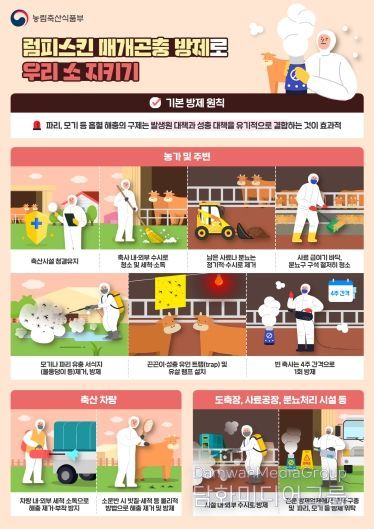 홍천군, 럼피스킨 백신 일제 추가 접종 실시