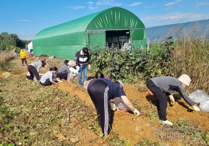 ‘2025년 나눔 농장 고구마 캐기’ 행사