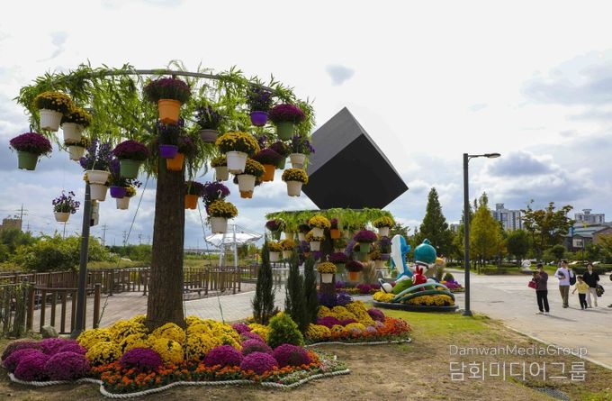 강서구, 2025년 울림공원 가을꽃 전시회