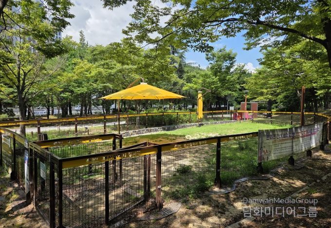 대형견놀이터(명지근린공원)