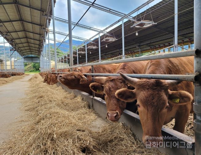 국내 최고 품질로, 중동시장 진출