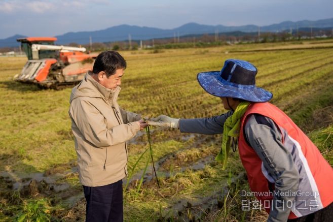 증평군 가을장마 피해 농가 방문(수발아 벼 살펴보는 이재영 군수)