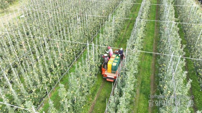 청송군, 2026년도 과수생산분야 지원사업 신청접수