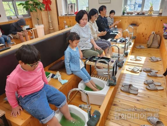 전라남도교육청, ‘녹차 족욕 체험’사진