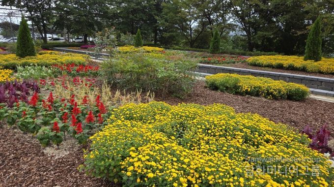 전북도 산림환경연구원, 고원화목원 ‘가을꽃 힐링정원’ 조성
