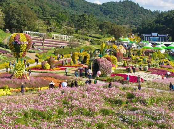 '2025 화순 고인돌 가을꽃 축제(도곡 축제장 전경)