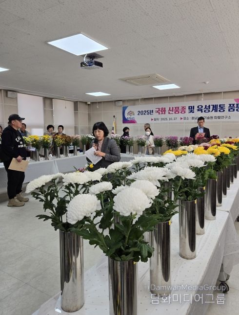 농기원, 국화 신품종 계통 품평회 개최