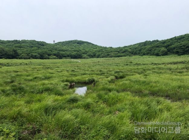 (북부지방산림청) 강원 인제 대암산 용늪 산림유전자원보호구역