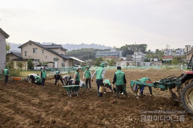 양주시 장흥면 새마을회, 이웃돕기 기금마련을 위한 고구마 수확 행사 성황리 개최