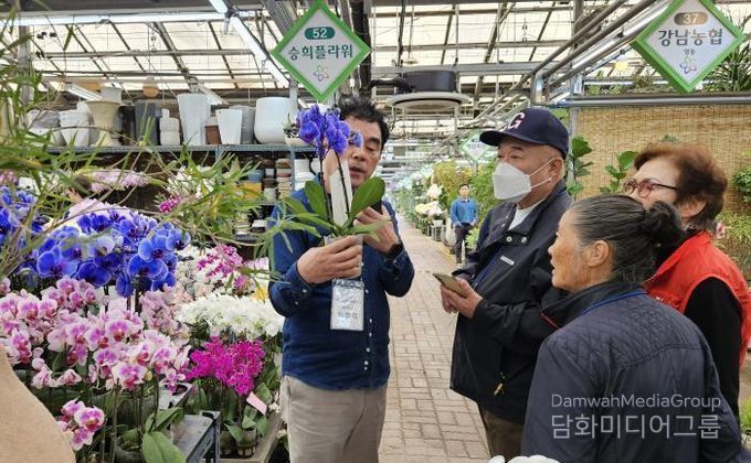 ‘양재동 꽃시장’ 현장 체험 사진