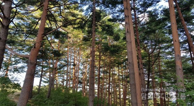 울진금강송 산지농업, FAO 세계중요농업유산 인증서 수여