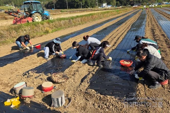 고성군청 주민생활과, 가을철 농촌일손돕기에 나서