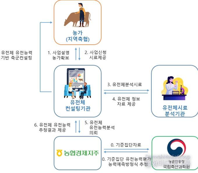 한우 암소 유전체 유전능력 예측 서비스 체계도