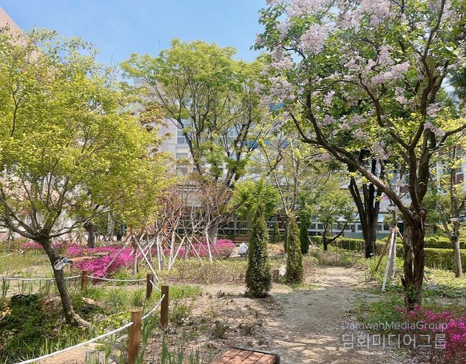 경북여고 학교숲