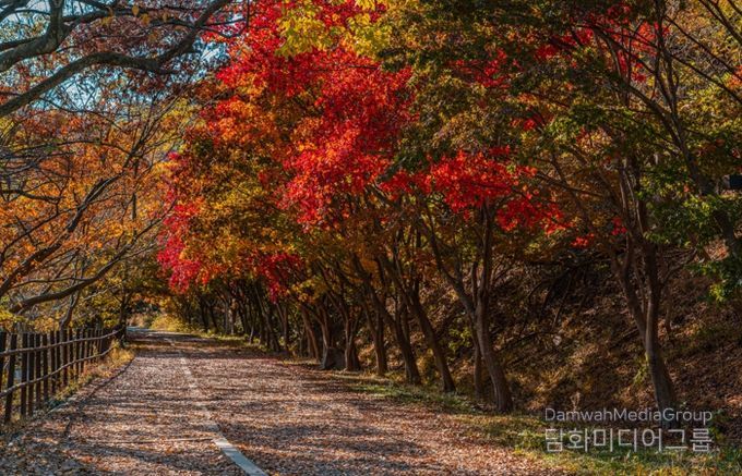 울긋불긋 단풍·은빛 억새…빛고을의 가을 파노라마