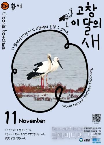 고창군, 11월 고창갯벌 이달의 새로 ‘황새’ 선정