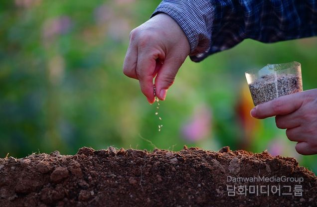 제1회 국립종자원 종자사진 공모전 수상작(대상(농식품부장관상) 수상자 : 강미자 작품명 : 참깨씨 뿌리기)