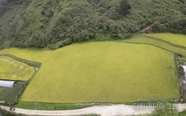경기도 남양주시 조안면 시우리 222-3번지 일원에 있는 「구리시 관외 농지 활용 벼농사 체험장」 전경