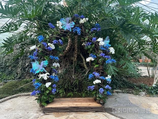 함평군 자연생태공원, 호접란 특별개최전 호접란 포토존