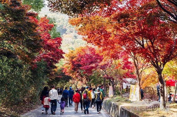 추천 관광지 사진-구례 지리산 피아골.