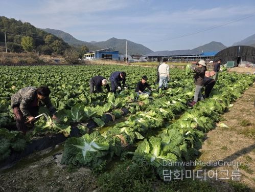 금산군청 건설교통과 직원들 농촌일손돕기 모습