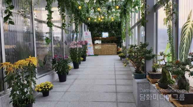 홍성군, 치유쉼터 ‘국화향기 전시 ’ 운영