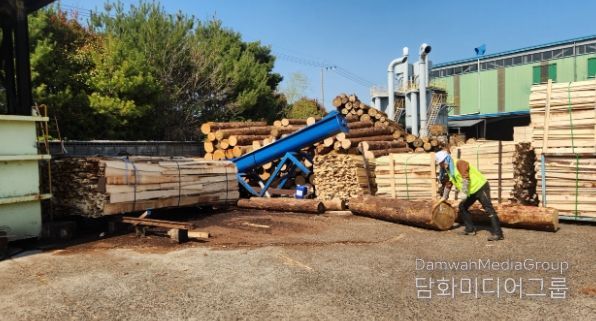 양산시, 2025년 가을철 소나무류 이동 특별단속 실시
