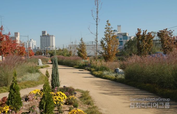 청주시 오송물결정원, 주민 손길 더해 가을정원으로 변신