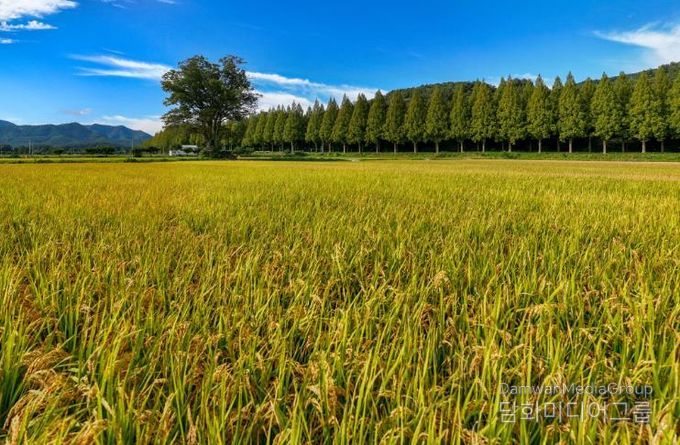 순창군, 농산물 우수관리(GAP) 인증 확대…안전 농산물 공급 기반 강화