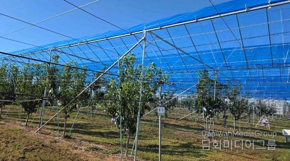 배 농가와 함께 ‘과수 기후변화 대응 현장 컨설팅’