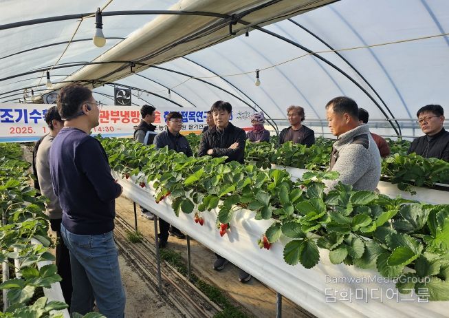 딸기 조기정식 후 관부냉방 기술 현장평가회