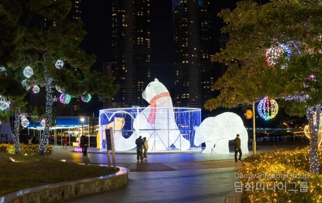 부산 서구 ‘희망의 빛거리’ 14일 점등식