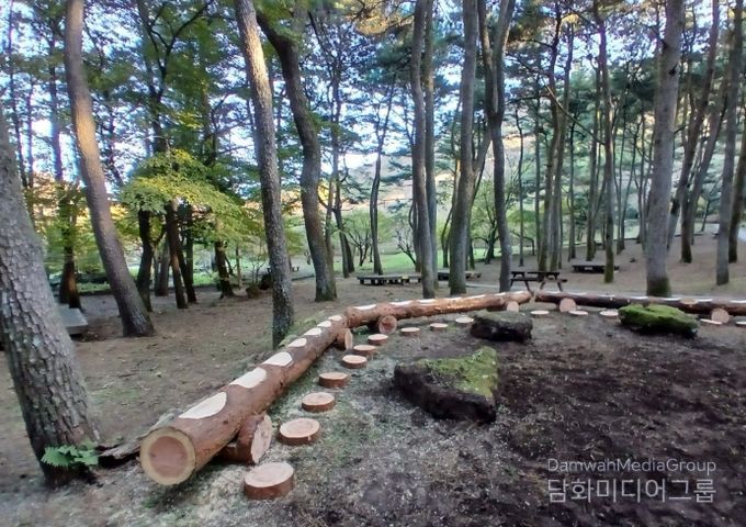 간벌목 활용 자연형 수로·휴식공간