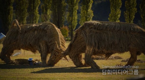짚 황소 머리를 맞대고 싸우는 소를 짚을 활용하여 역동적으로 표현(사진제공=아름다운강천 사회적협동조합)