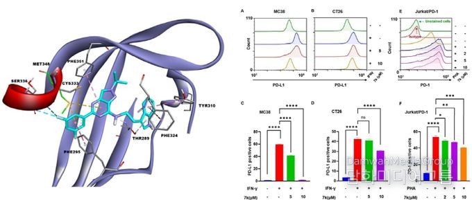 ‘AhR 억제 기반 신규 면역항암 메커니즘’ 국제학술지 논문 게재