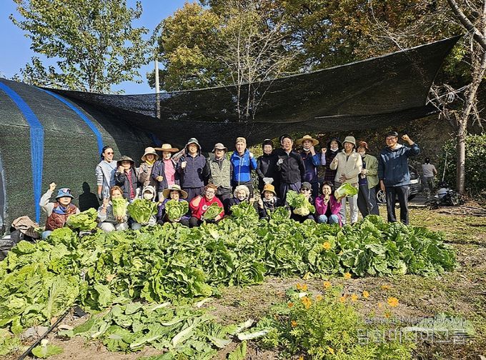 감자, 옥수수, 배추 등 다양한 작물 재배로 농심 체험