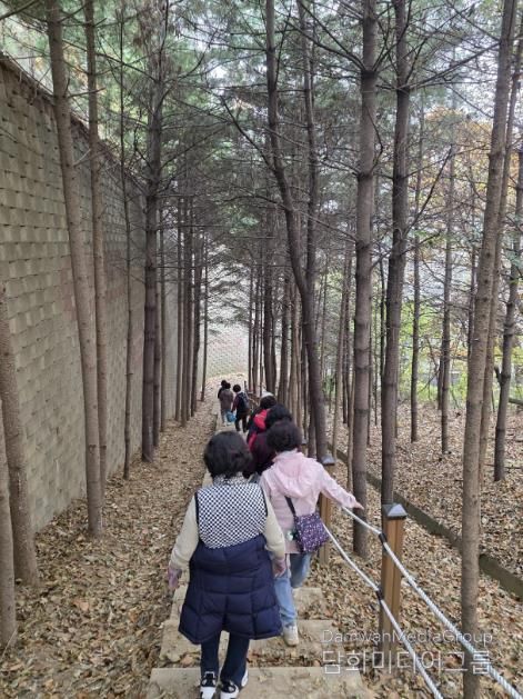 용인특례시 보건소 건강걷기 프로그램에 참여 중인 시민들