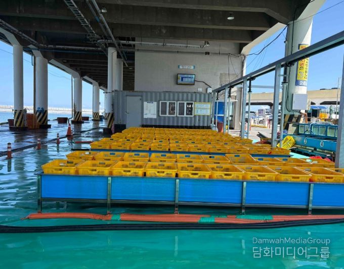 주문진항 위판장에 청정 해수공급