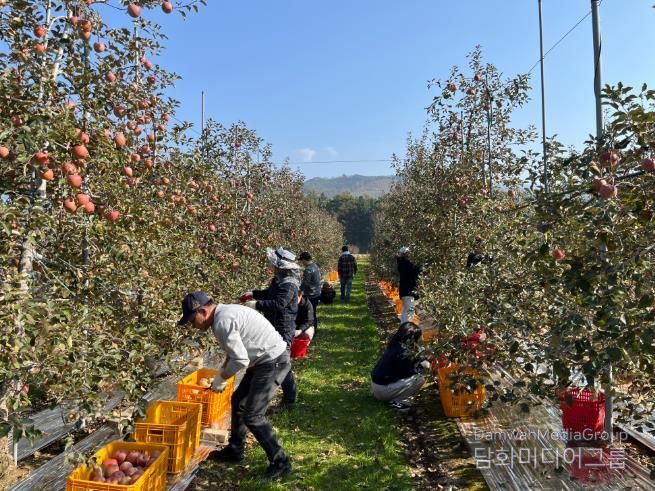 정선군, 지역사회 협력 농촌일손돕기 628명 참여 ‘농번기 인력난 해소 성과’