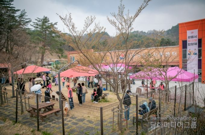 강릉시, 2025년 도내 유기동물 입양률 1위