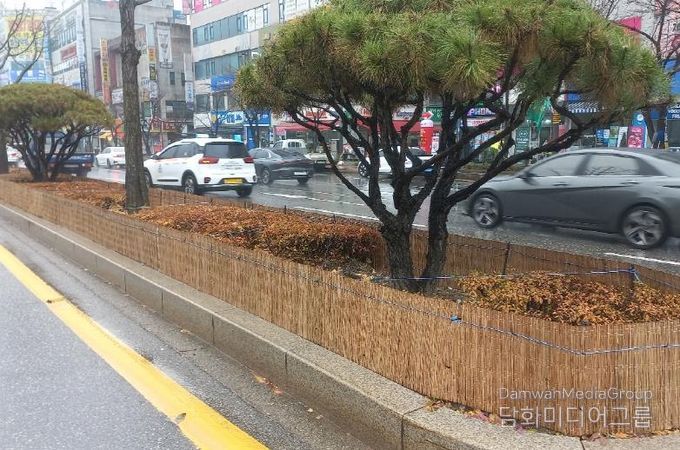 원주시, 도로변 띠녹지 방풍벽 설치...수목 동해 예방